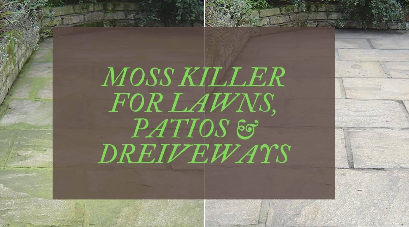 UK's 5 Best Moss Killers For Lawns, Driveways & Patios