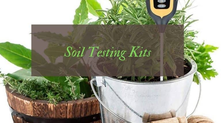 UK's 7 Best Soil Testing Kits Reviewed (July 2026)