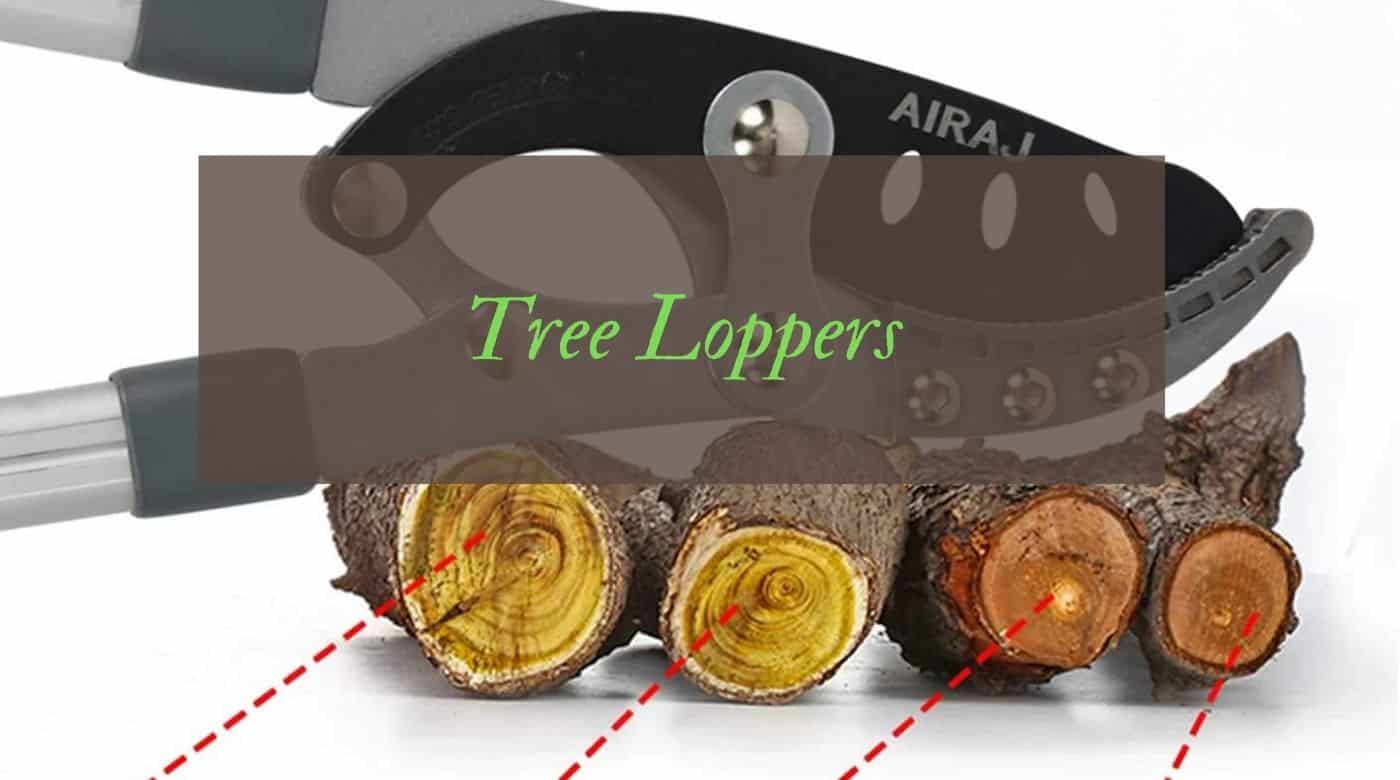UK's 6 Best Tree Loppers Reviewed (January 2024) UK's 6 Best Tree Loppers Reviewed (January 2024)